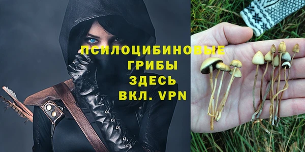 героин Алексин