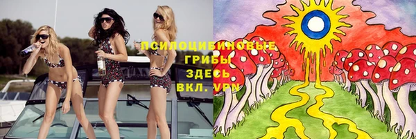 прущий лед Абаза