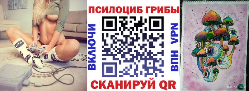 МЕГА вход  Петровск-Забайкальский  Галлюциногенные грибы Psilocybe 